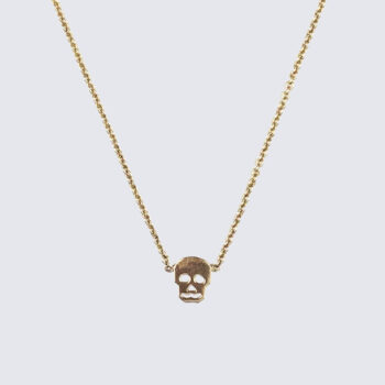 skull collar detail_