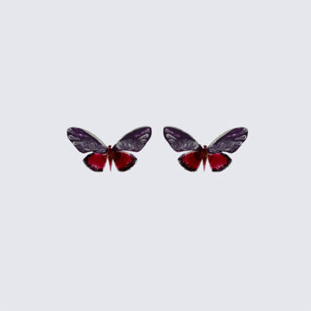 lizzybutterfly