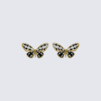 Lily Butterfly